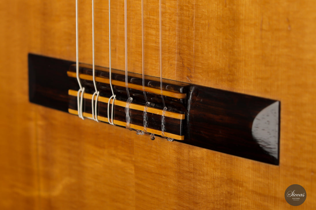 Hermann Hauser ® II - 1969 #856
