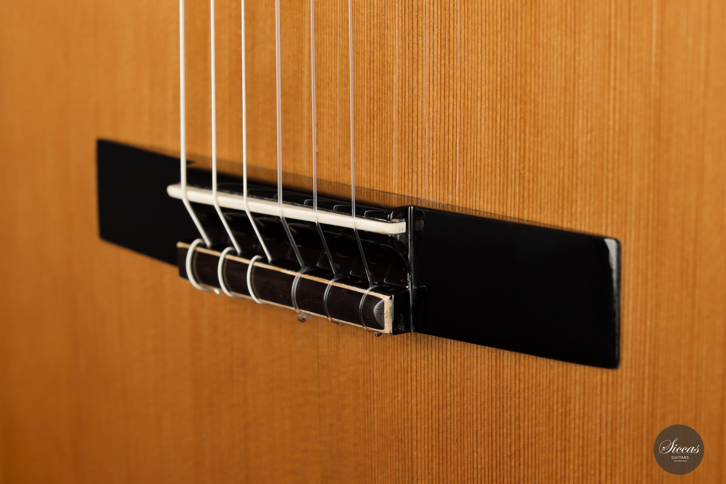Jan Schneider - 2021 Doubletop