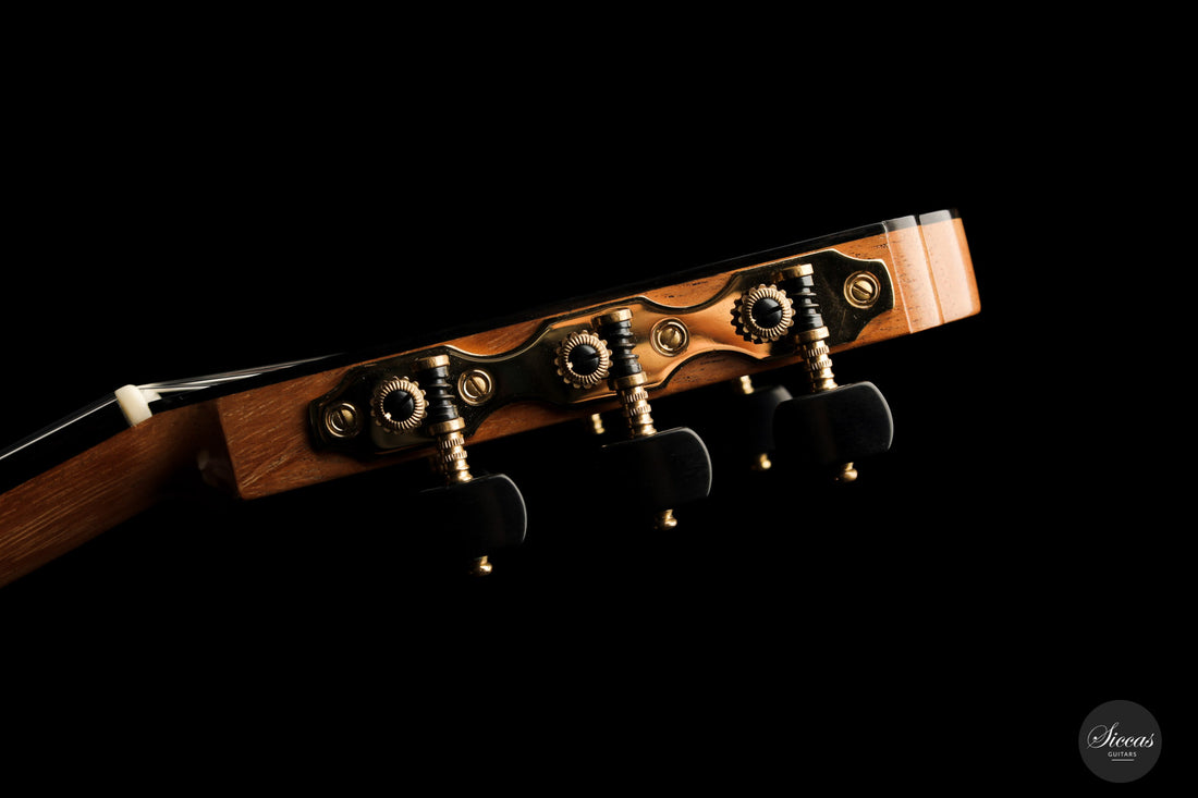 Ricardo Meirinhos - 2019 "Torres"