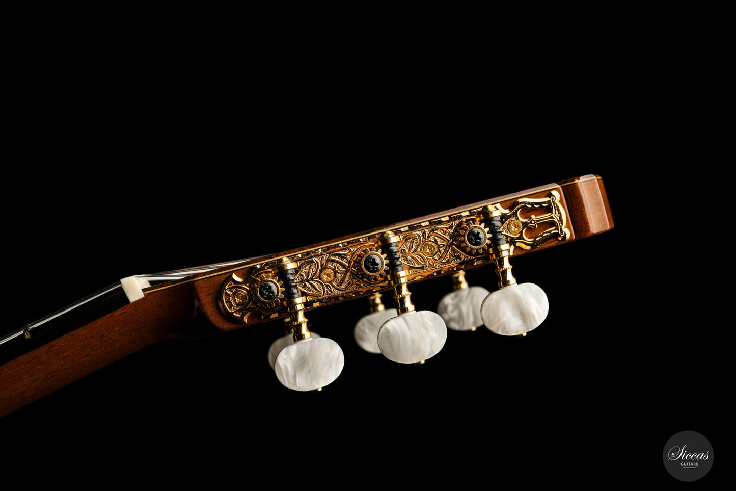 Sakurai Kohno - 2021 Professional J