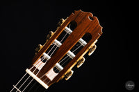 Sakurai Kohno - 2023 Special Spruce 63 cm