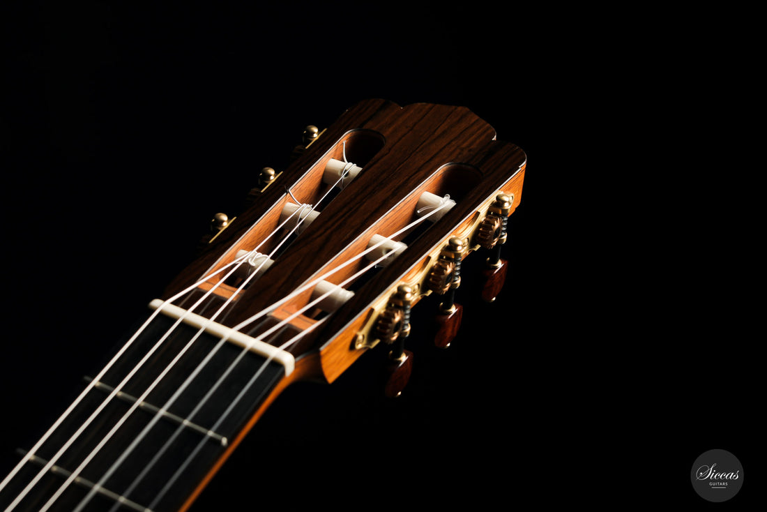 Solveig Kirschner - 2015