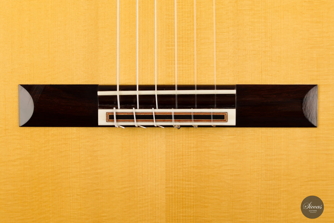 Solveig Kirschner - 2015