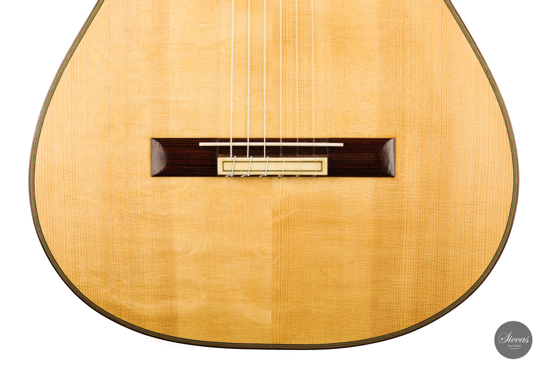 Tobias Braun - 2016 "Santos Hernandez"