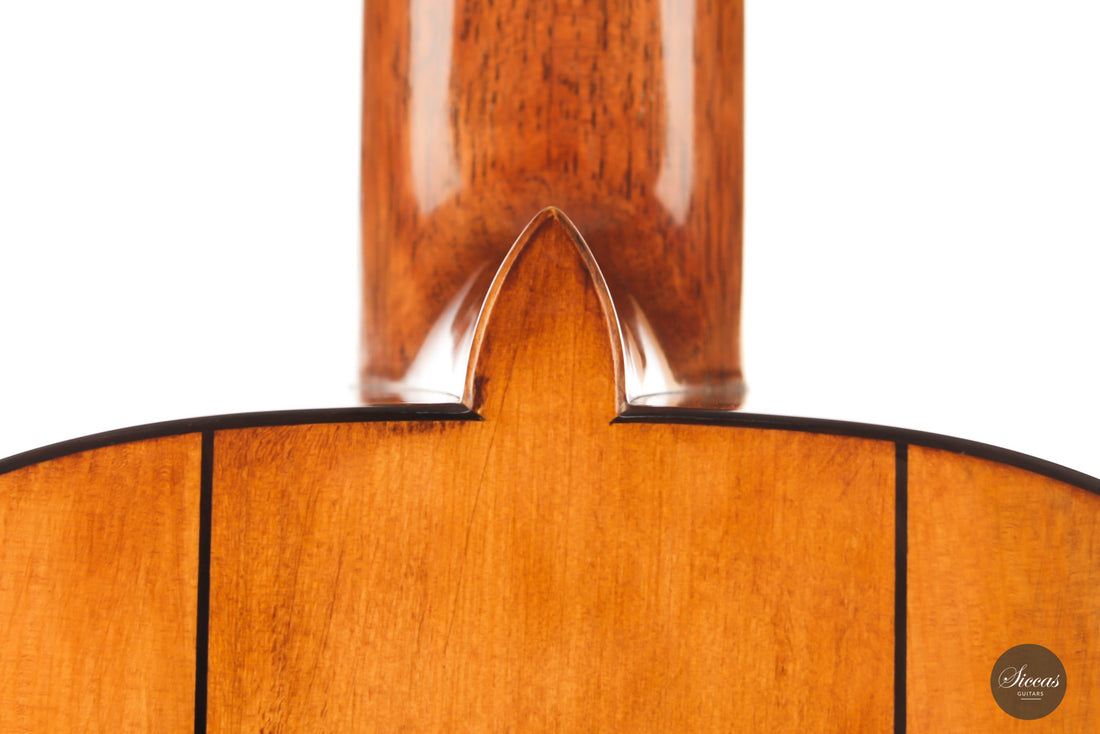 Wolfgang Jellinghaus - Torres 04 La Leona Cypress