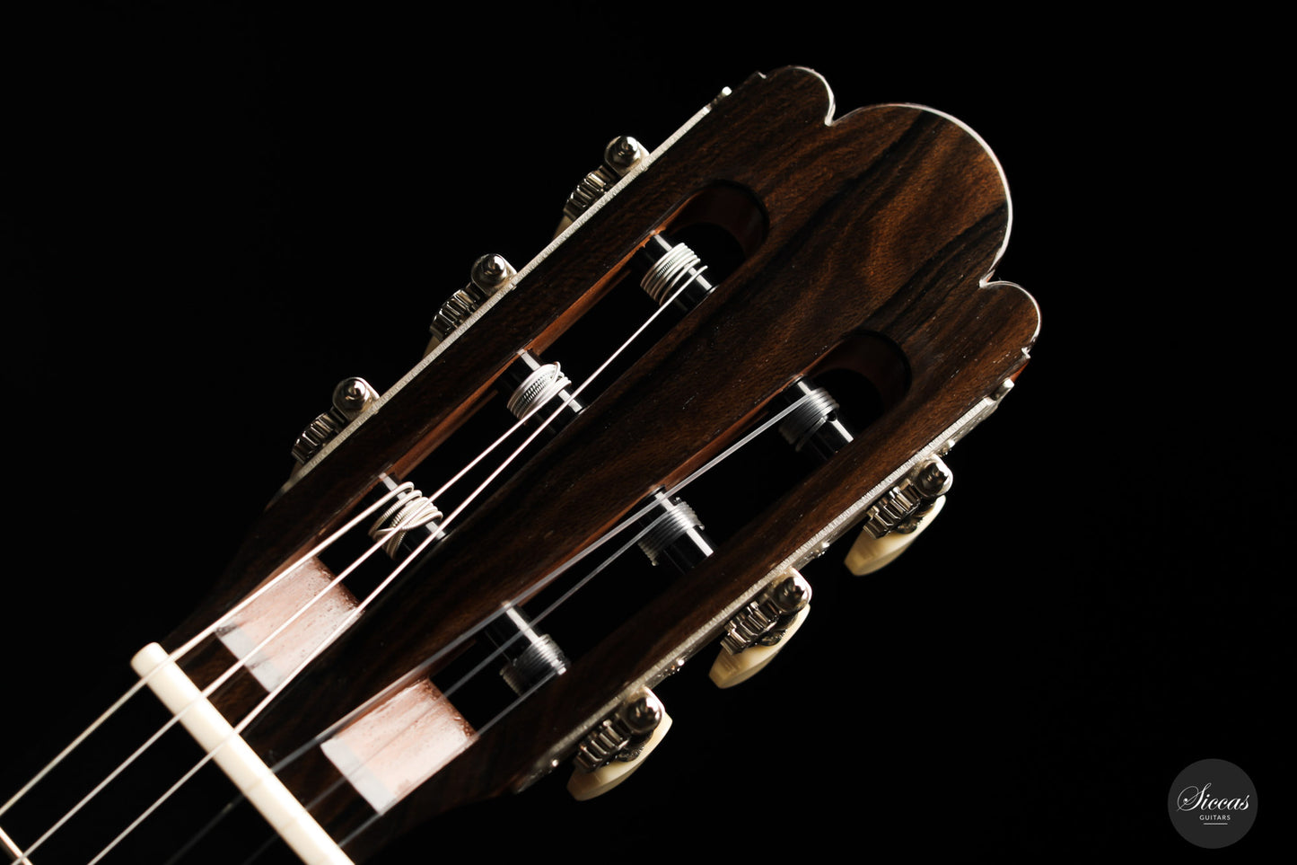 Wolfgang Jellinghaus - Torres 04 La Leona Cypress
