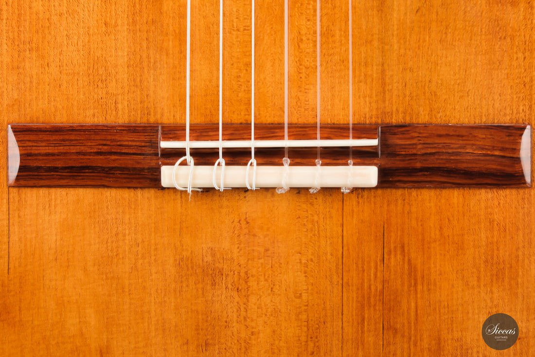Wolfgang Jellinghaus - Torres 04 La Leona Cypress