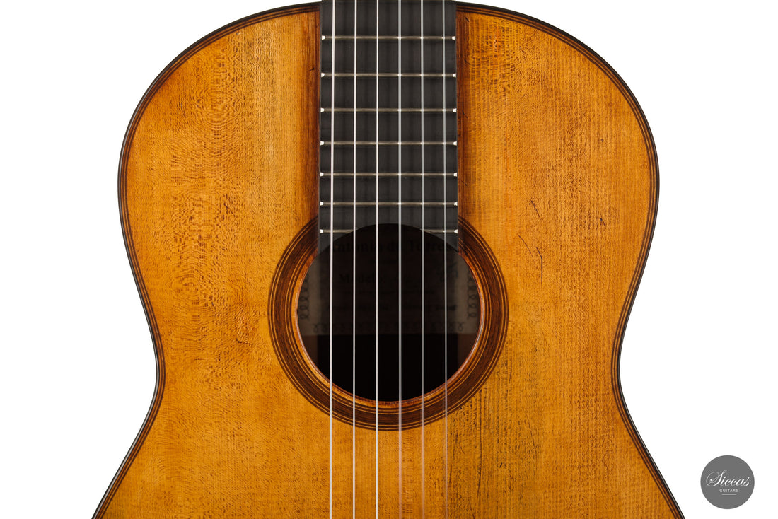 Wolfgang Jellinghaus - "Torres 04 La Leona" Pao Ferro 64,5 cm