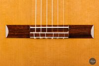 Wolfgang Jellinghaus - "Conservatory EF" Indischer Palisander
