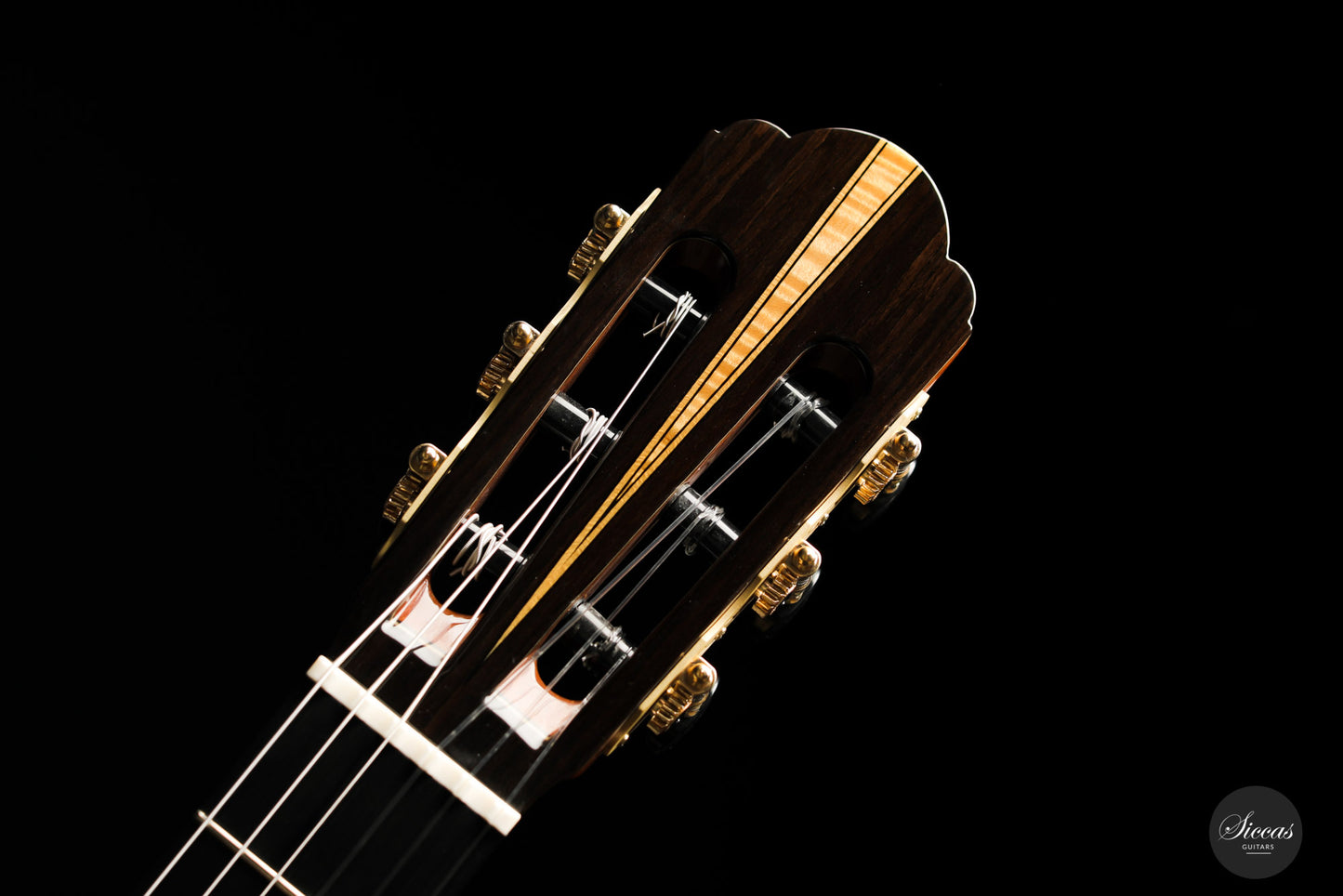 Yulong Guo - 2020 Concert
