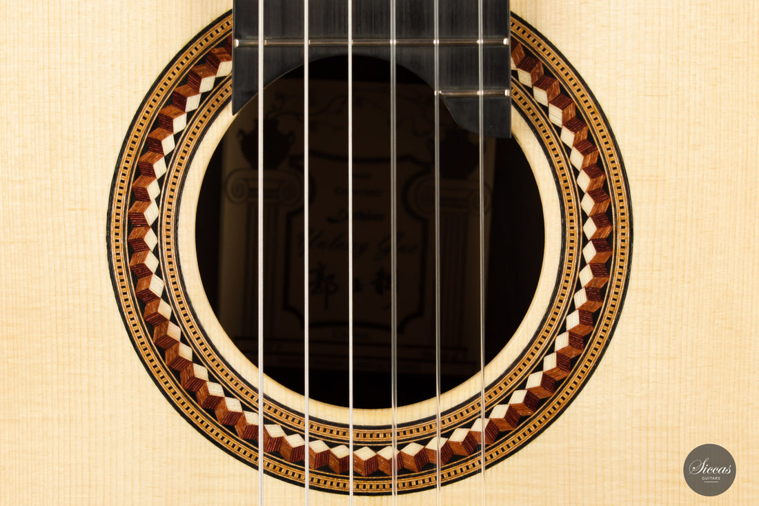 Yulong Guo - 2020 Concert