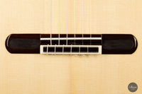 Yulong Guo - 2020 Concert