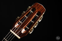Ibanez Mac 10 - 1981