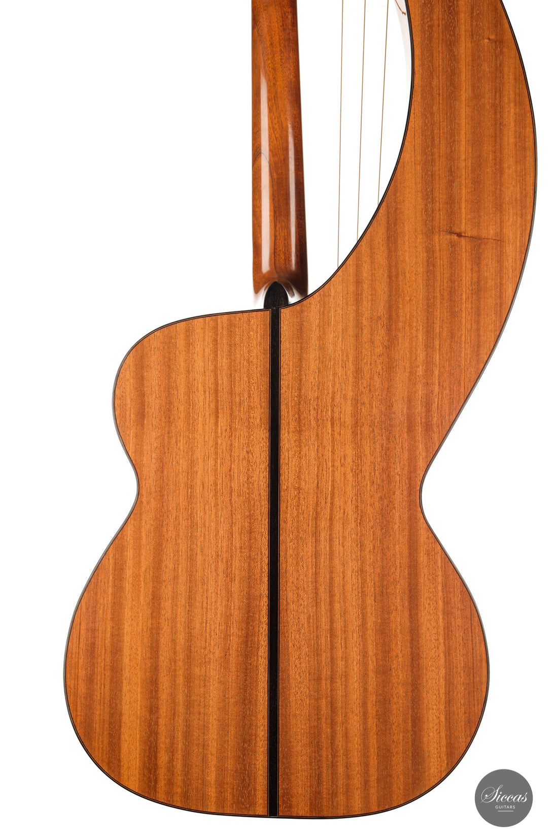 Dominik Wurth - 2010 Harp guitar
