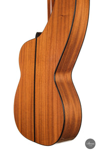 Dominik Wurth - 2010 Harp guitar
