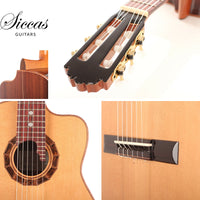 Gabriel Hernández Jimenez  - Requinto 2014