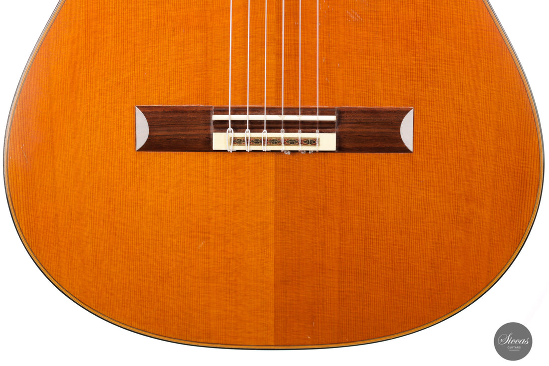 Daniel Friederich - 1993 No. 705