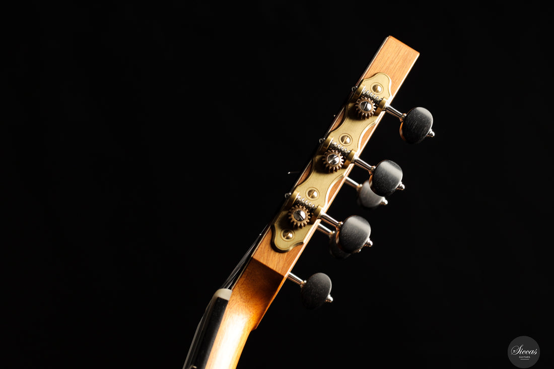 Daniel Stark - 2026 Performer No. 173