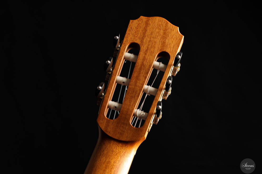 Daniel Stark - 2026 Performer No. 173