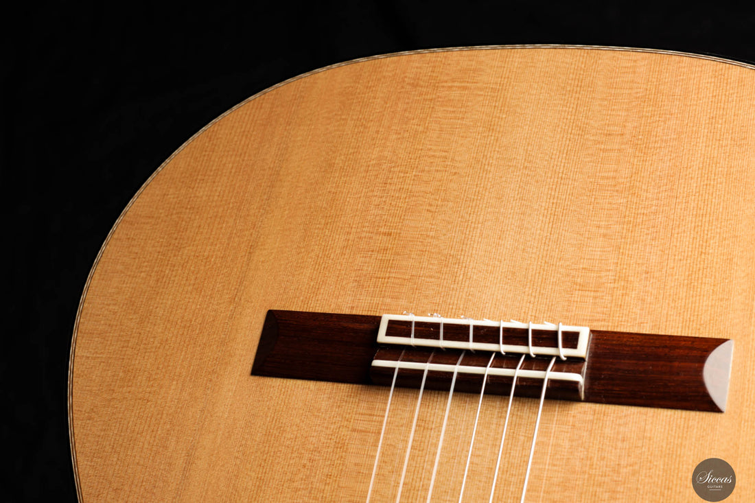 Daniele Chiesa - 2024 Cedar Doubletop