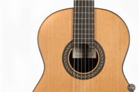 Daniele Chiesa - 2024 Cedar Doubletop