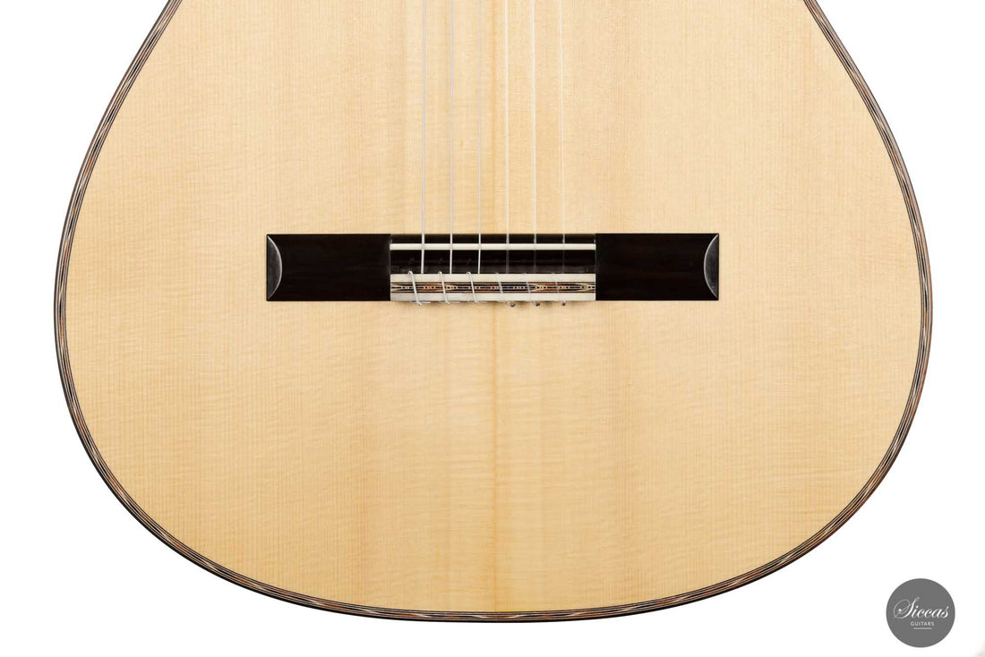 Danilo Bazzana - 2022 No. 55 REG Limited Edition