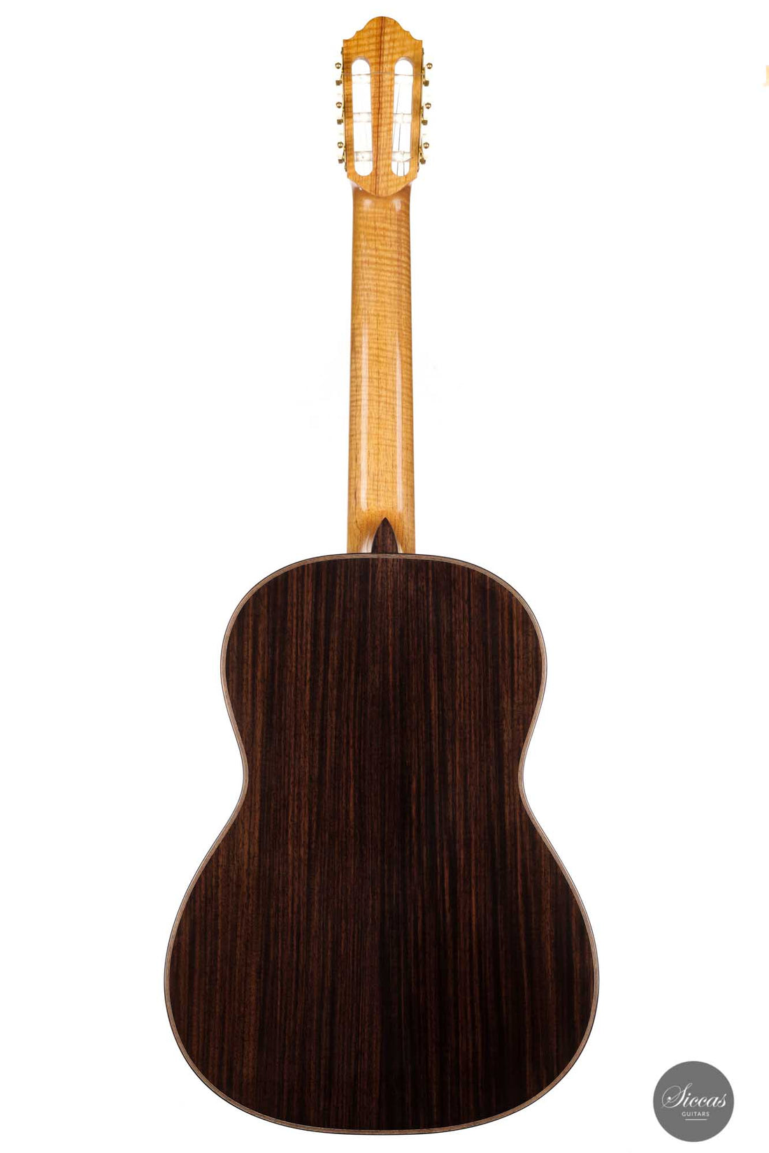 Danilo Bazzana - 2022 No. 55 REG Limited Edition