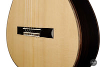 Danilo Bazzana - 2022 No. 55 REG Limited Edition