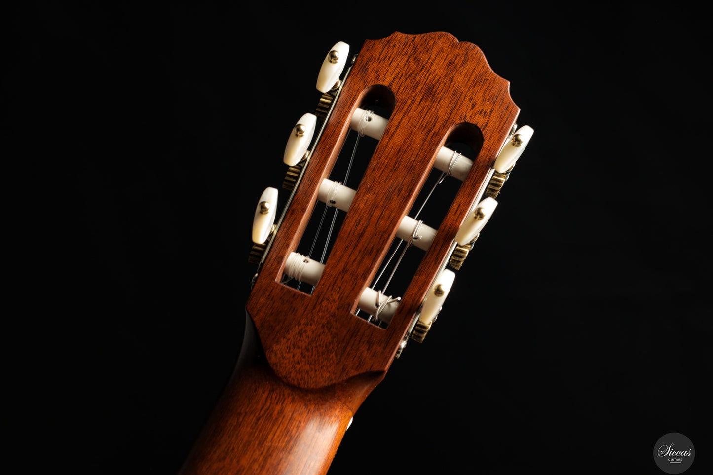 Daryl Perry - 2024 No. 255