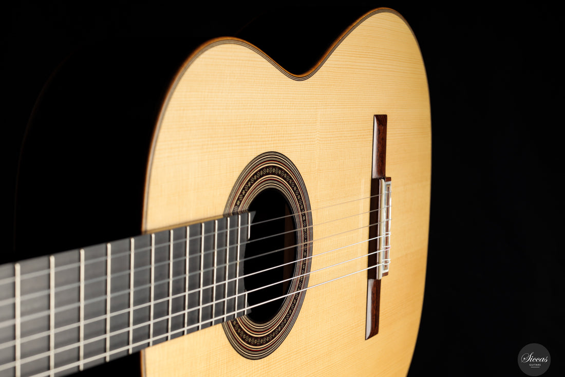 Daryl Perry - 2024 No. 255