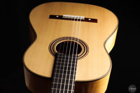 Daryl Perry - 2025 No. 259 "Torres"