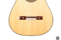 Daryl Perry - 2025 No. 259 "Torres"
