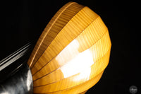 David Rubio - 1968 - No. 149 Baroque Lute 13 Courses