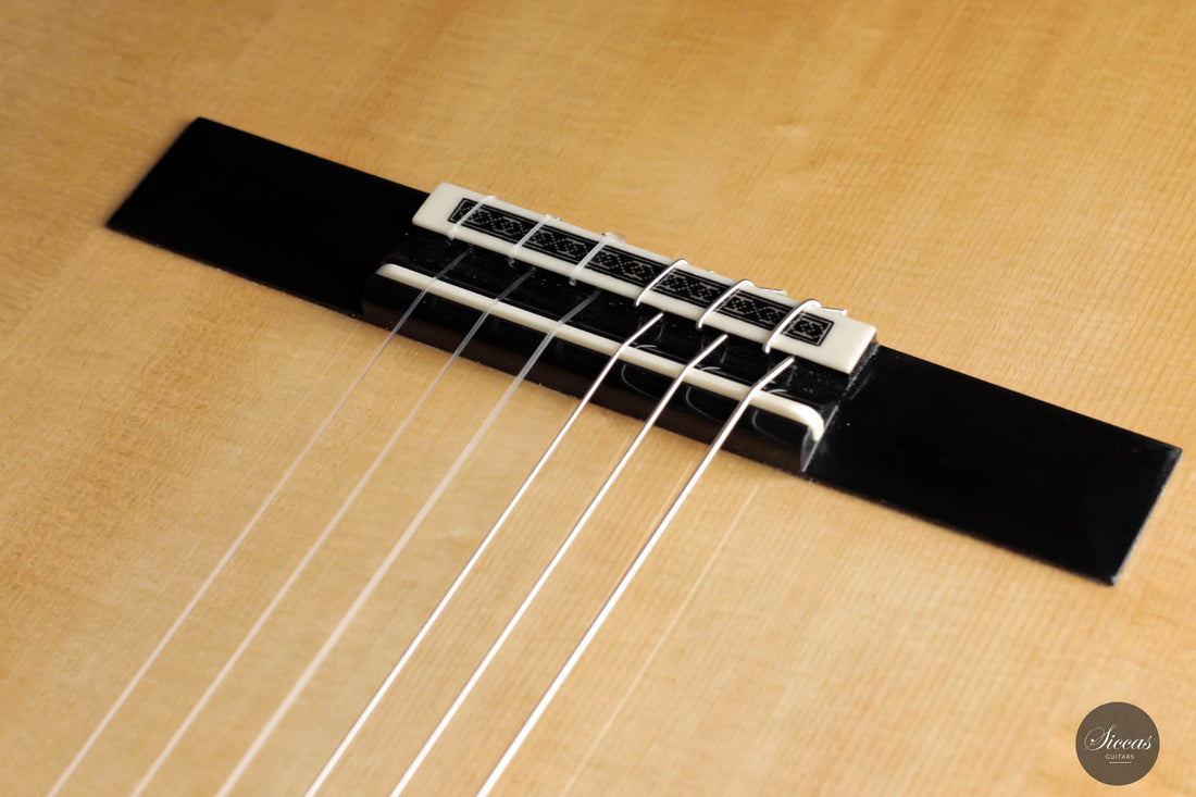 Dieter Müller - 2022 Doubletop Spruce 63 cm