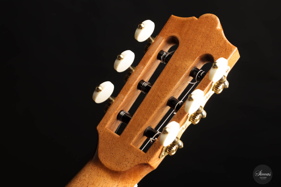 Dieter Müller - 2022 Doubletop Spruce 63 cm