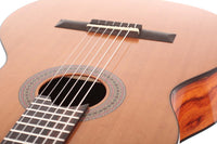 Duke - Basis C