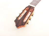 Duke - Basis C 580