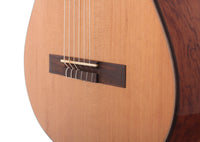 Duke - Basis C 580