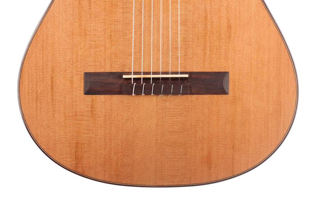 Duke - Basis C 580