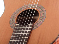Duke - Basis C 580