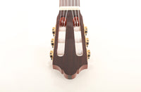Duke - Flamenco Cut Pickup