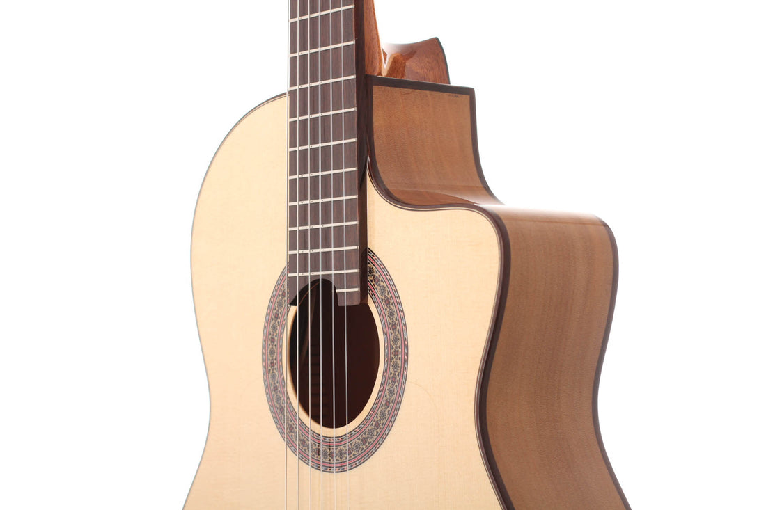 Duke - Flamenco Cut Pickup