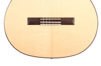 Duke - Flamenco Cut Pickup