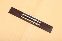 Duke - Flamenco Cut Pickup