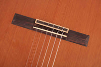 Duke - Student C Cut Pickup