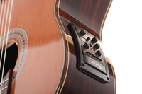 Duke - Student C Cut Pickup