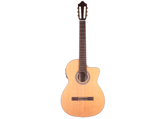 Duke - Konzert C Cut Pickup