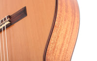 Duke - Konzert C Cut Pickup