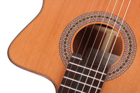 Duke - Konzert C Cut Pickup