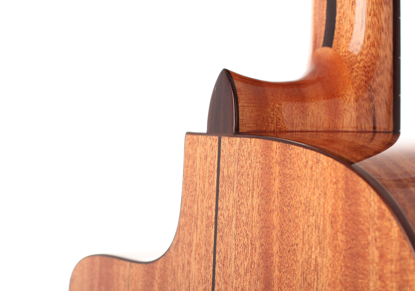 Duke - Konzert C Cut Pickup